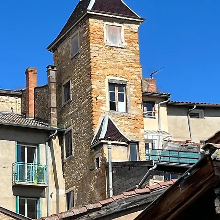 Duplex Proche Bord De Saone Apartamento
