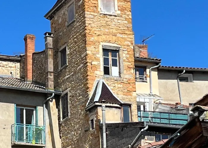 Duplex Proche Bord De Saone Apartamento