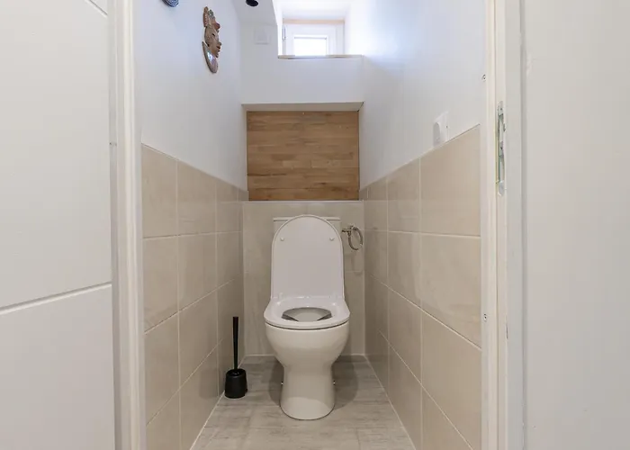 Duplex Proche Bord De Saone *